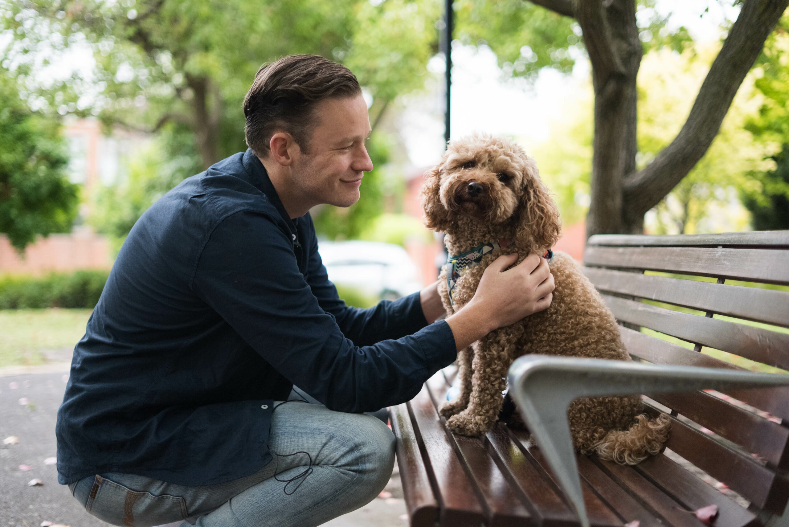 How CBD oil can help dogs overcome arthritis challenges