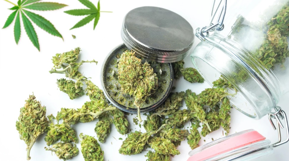 Medical Marijuana